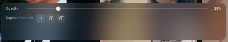 Subtitle Setting